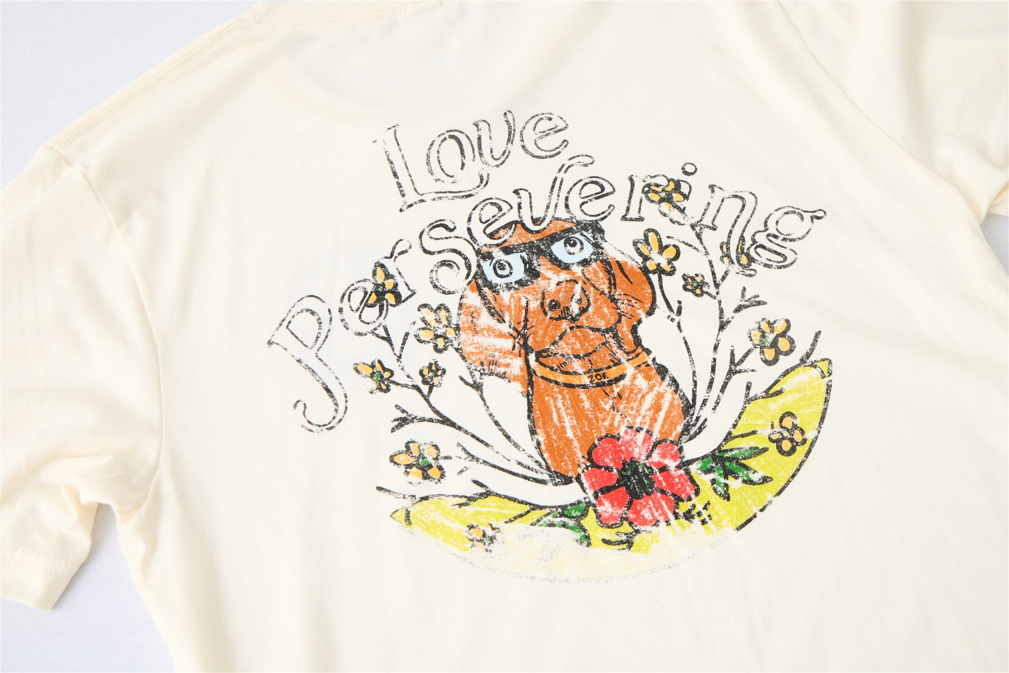 Merch Link